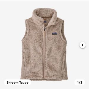 Patagonia Los Gatos Fleece Vest